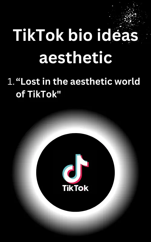 tiktok-bio-TikTok bio ideas aesthetic – Lost in the aesthetic world of TikTok