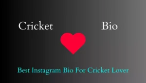 Cricket Lover Bio For Instagram | Best Instagram Bio For Cricket Lover